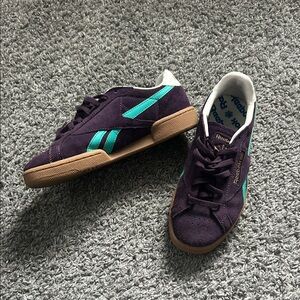 Reebok Dark Purple and Teal Casual Shoes